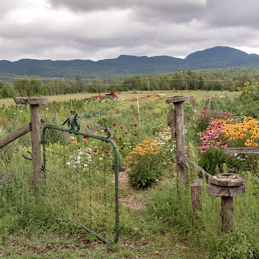 6 raisons de visiter Eastman, lieu idyllique
