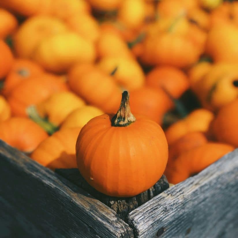 Rabais de l'Action de grâce sur 30+ produits