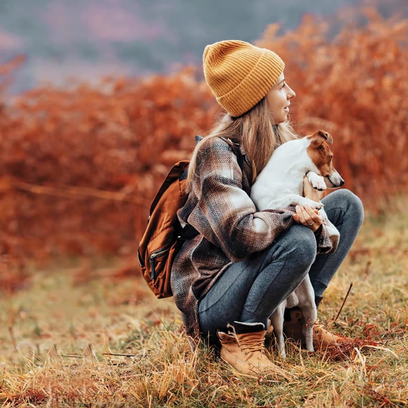 Randonnée: 6 sentiers à découvrir avec son chien