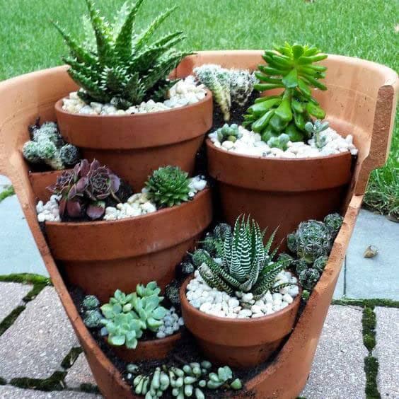 10 idées originales pour empoter ses fleurs