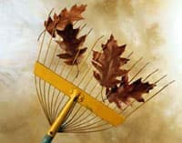 La corvée des feuilles en famille