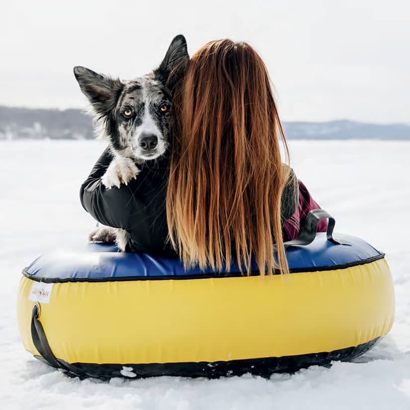 7 hôtels où les animaux sont les bienvenus