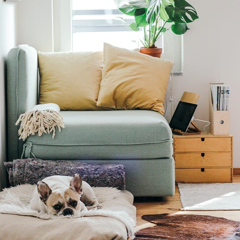 FlyLady: la méthode de ménage star