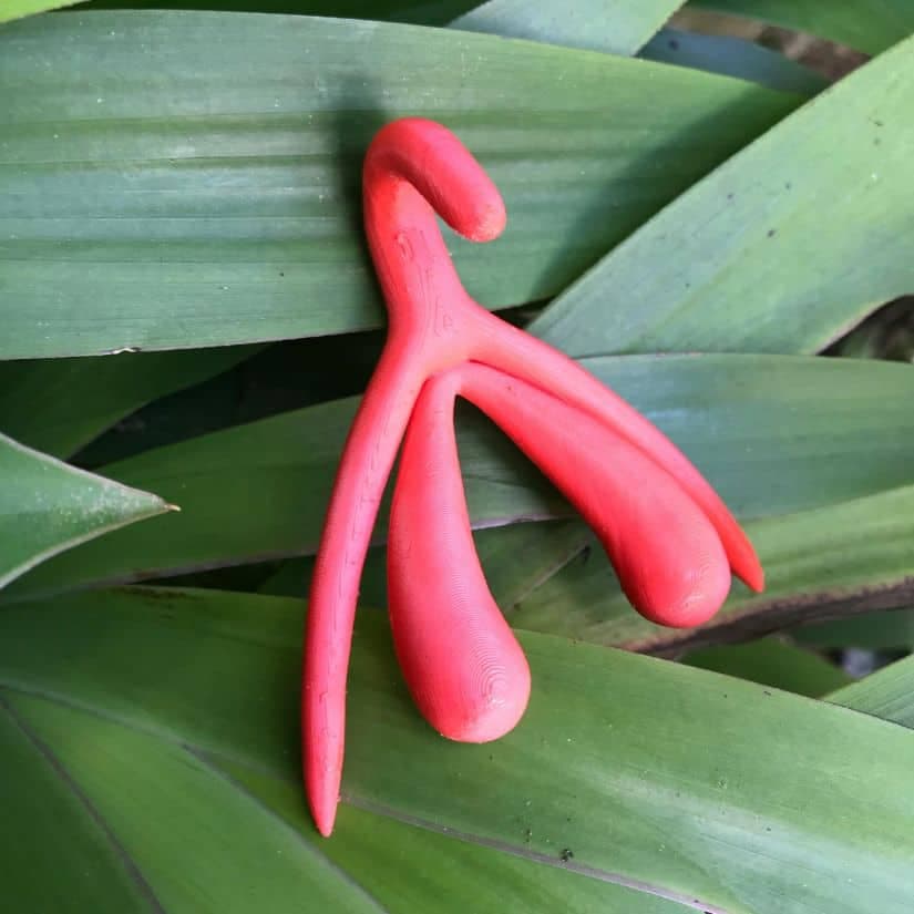 6 faits surprenants sur le clitoris