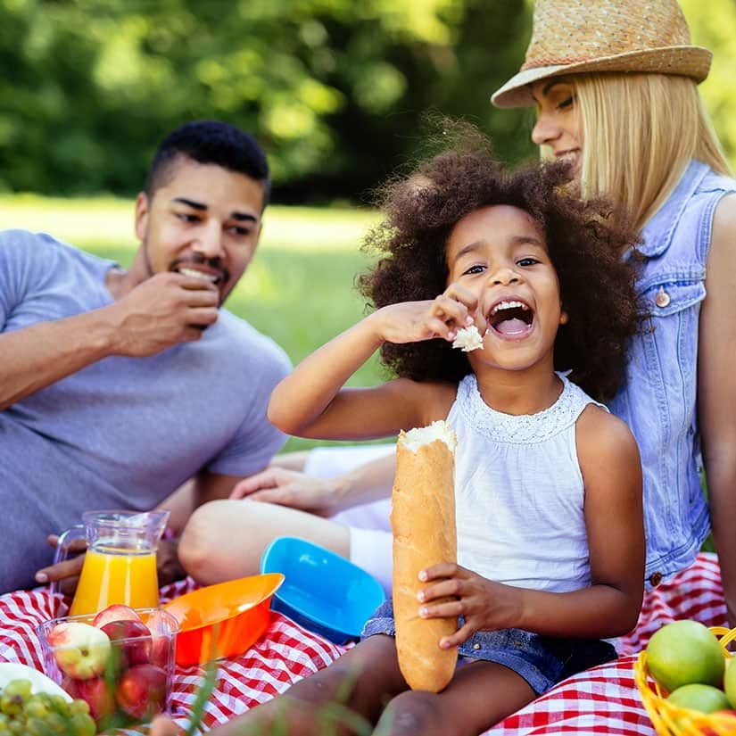 5 lieux magiques pour pique-niquer sur la Rive-Sud