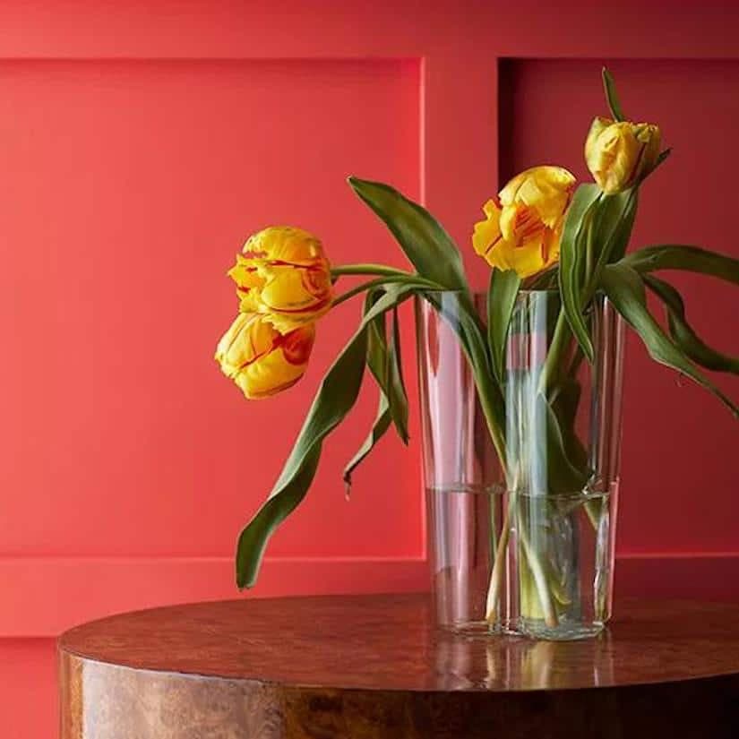 Une couleur 2023 éclatante pour Benjamin Moore