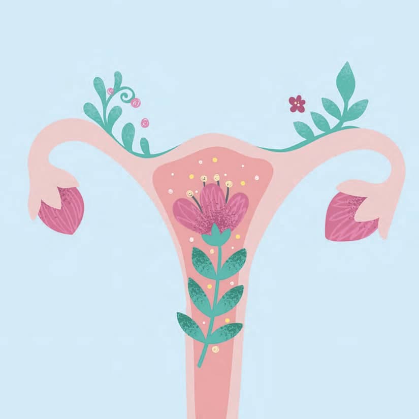 Mieux comprendre notre flore vaginale