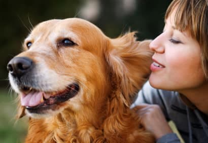 Cours de dressage 101