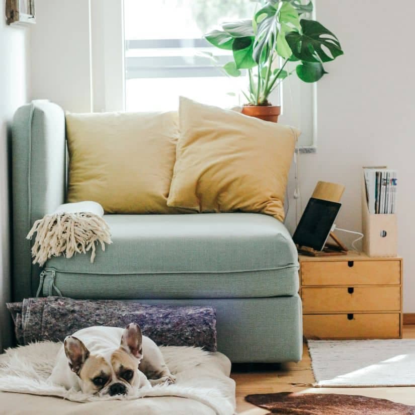 Débarrassez votre salon pour la nouvelle année