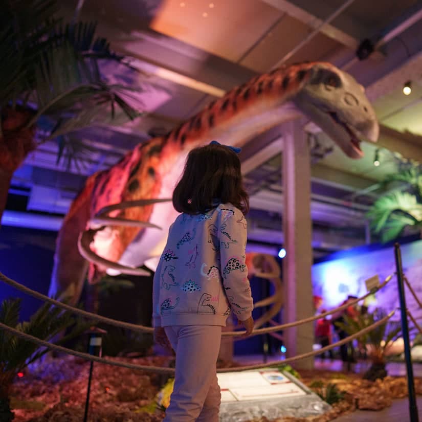 Une expo sur les dinosaures arrive à Montréal