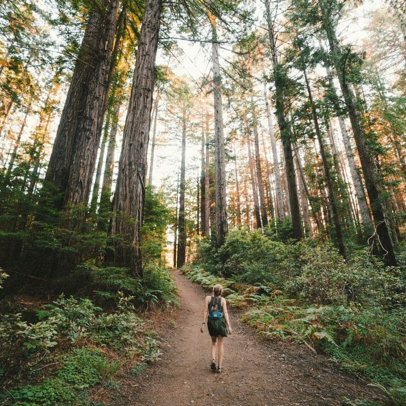 Les bienfaits de marcher 10 000 pas par jour