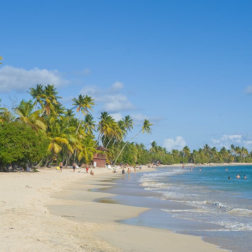Martinique Gourmande de retour en septembre