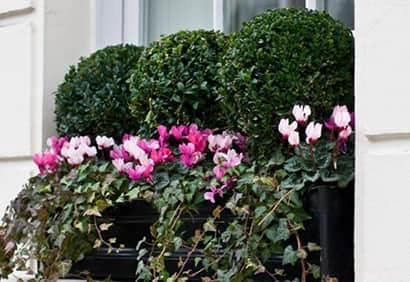 Pinterest: 10 inspirations de jardinières