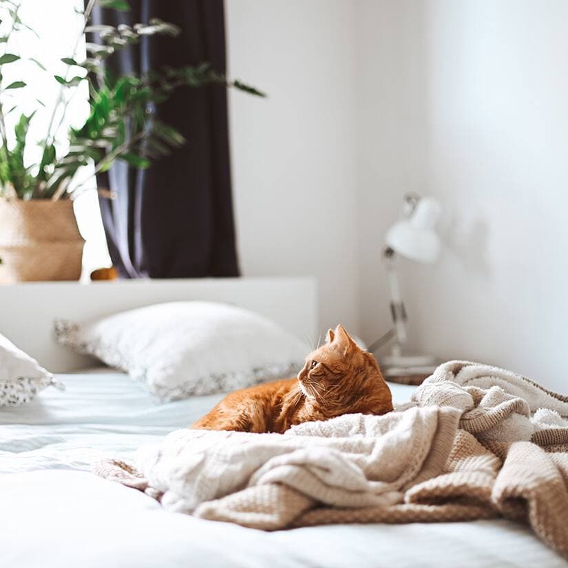 5 façons de bien laver son lit