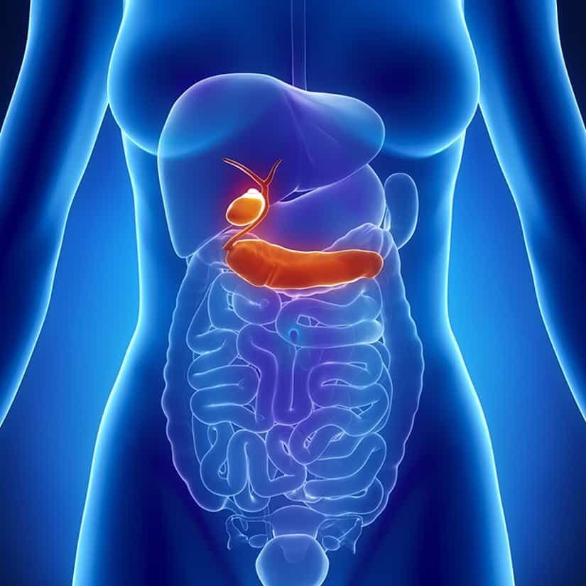 Prévenir et guérir la gastroentérite