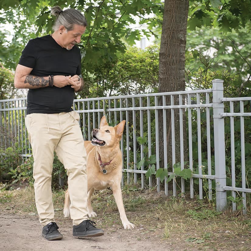 Enseigner la marche au pied à son chien