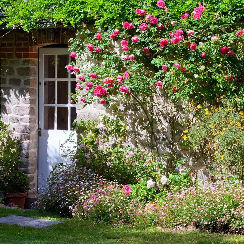 Jardinage: Éliminer les insectes nuisibles