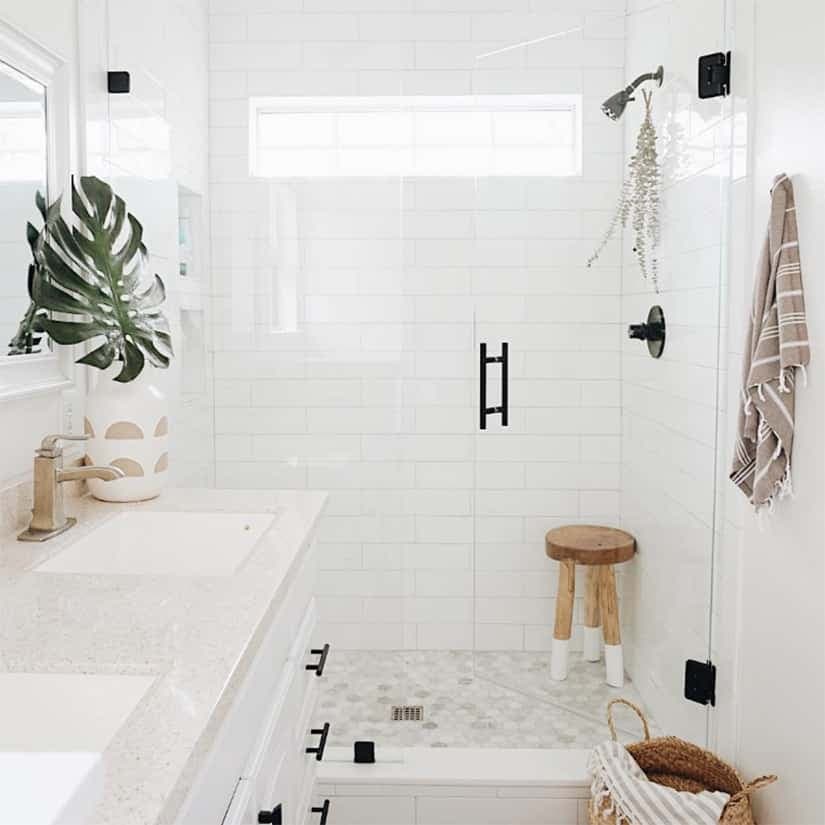 Eucalyptus dans la douche : les bienfaits