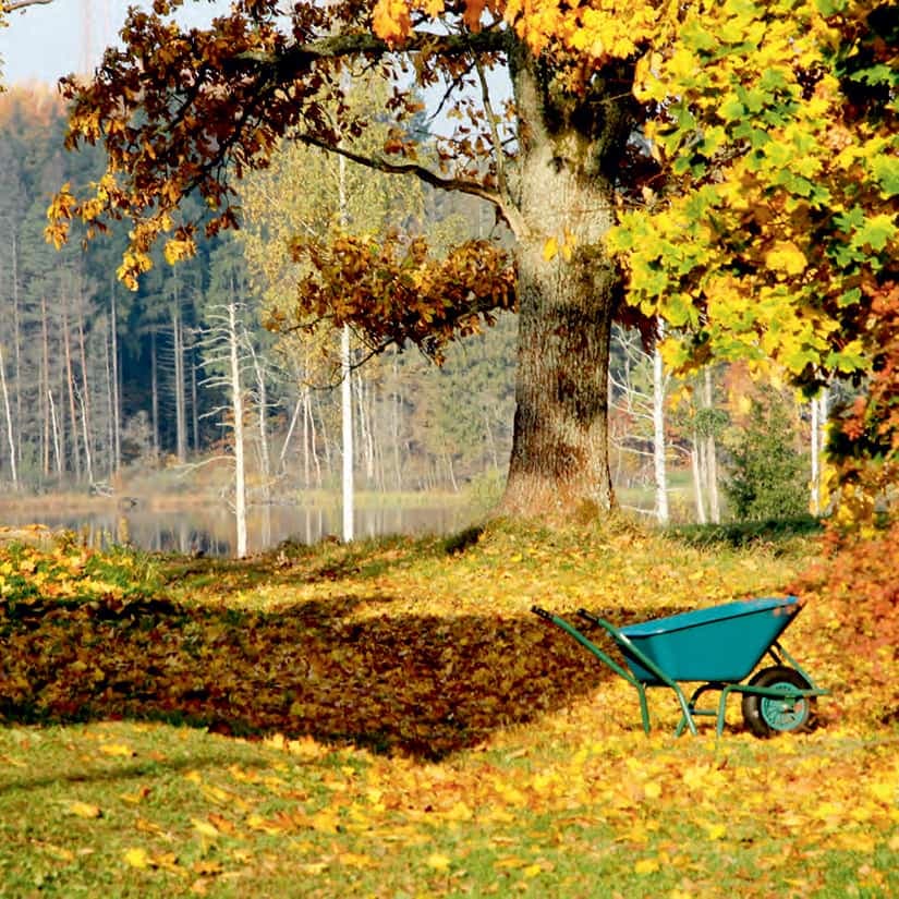 10 erreurs à éviter pour fermer son terrain