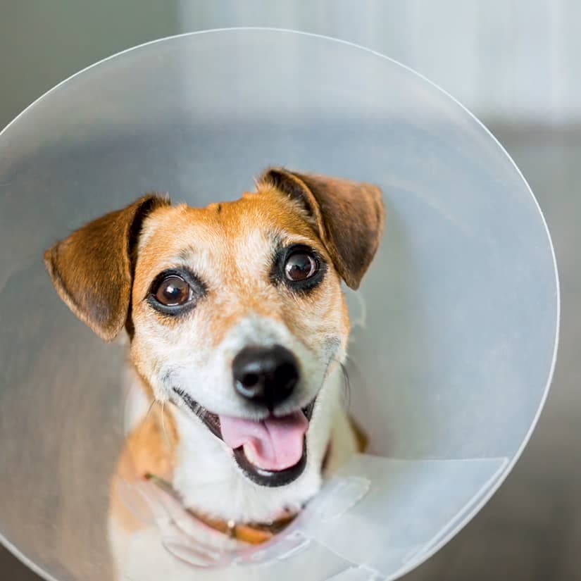 Qu'est-ce que le hot spot?