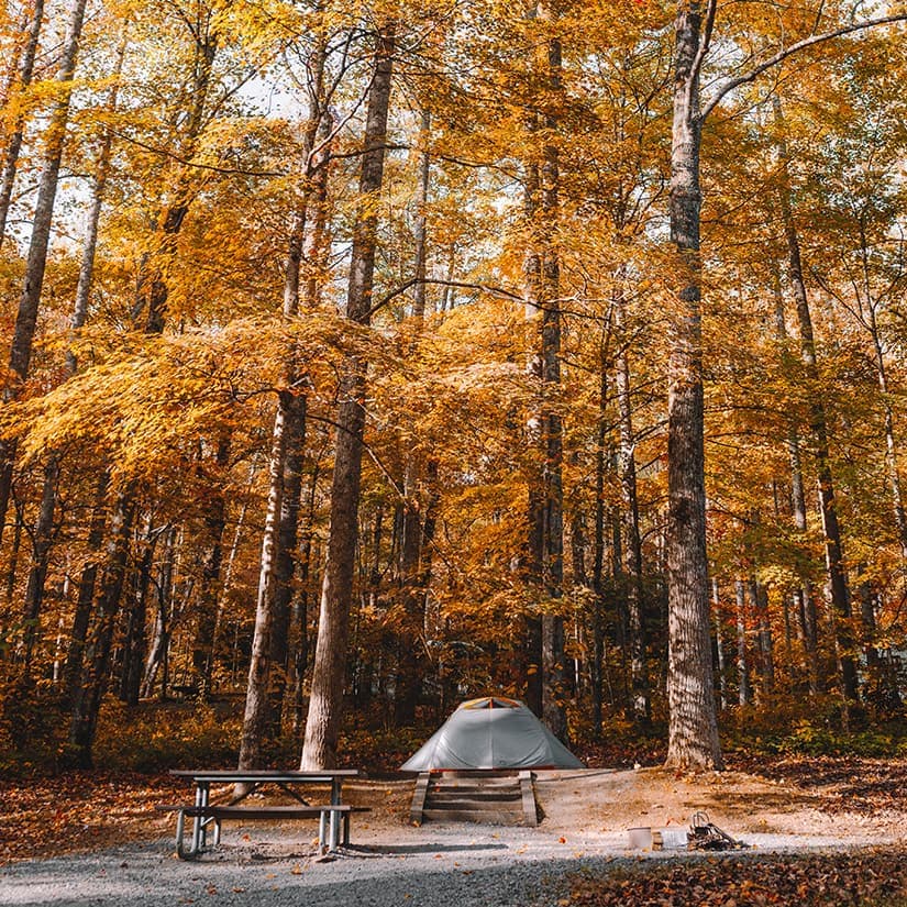 11 conseils pour le camping d'automne