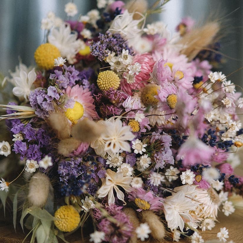 Fleurs printanières à faire sécher à l'automne