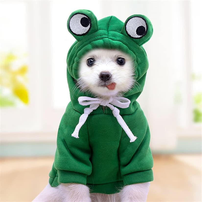 11 costumes d'Halloween pour déguiser votre animal