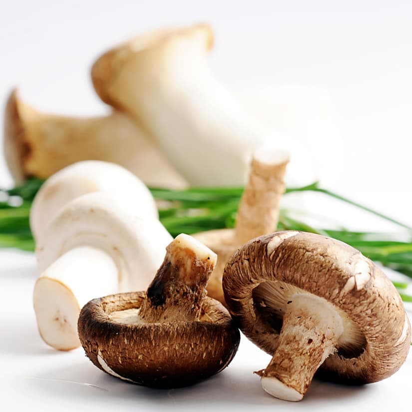 5 raisons de mettre des champignons au menu