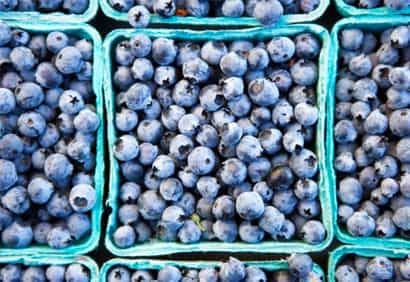 Le bleuet: un puissant antioxydant