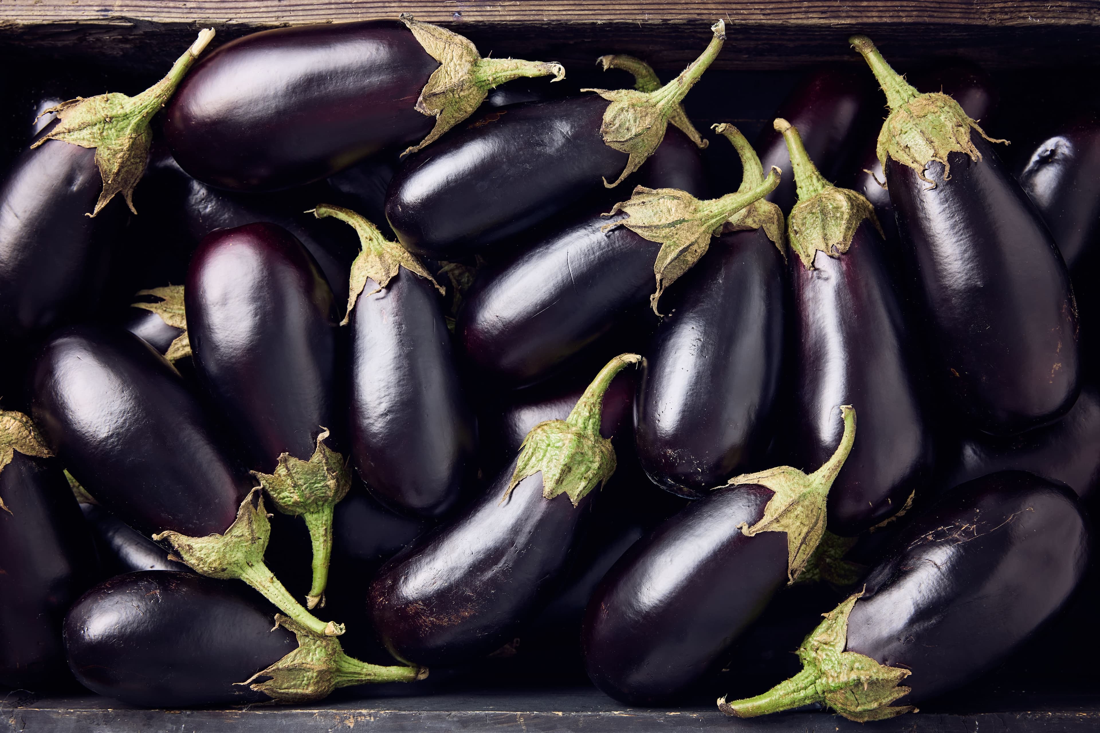 Aubergine