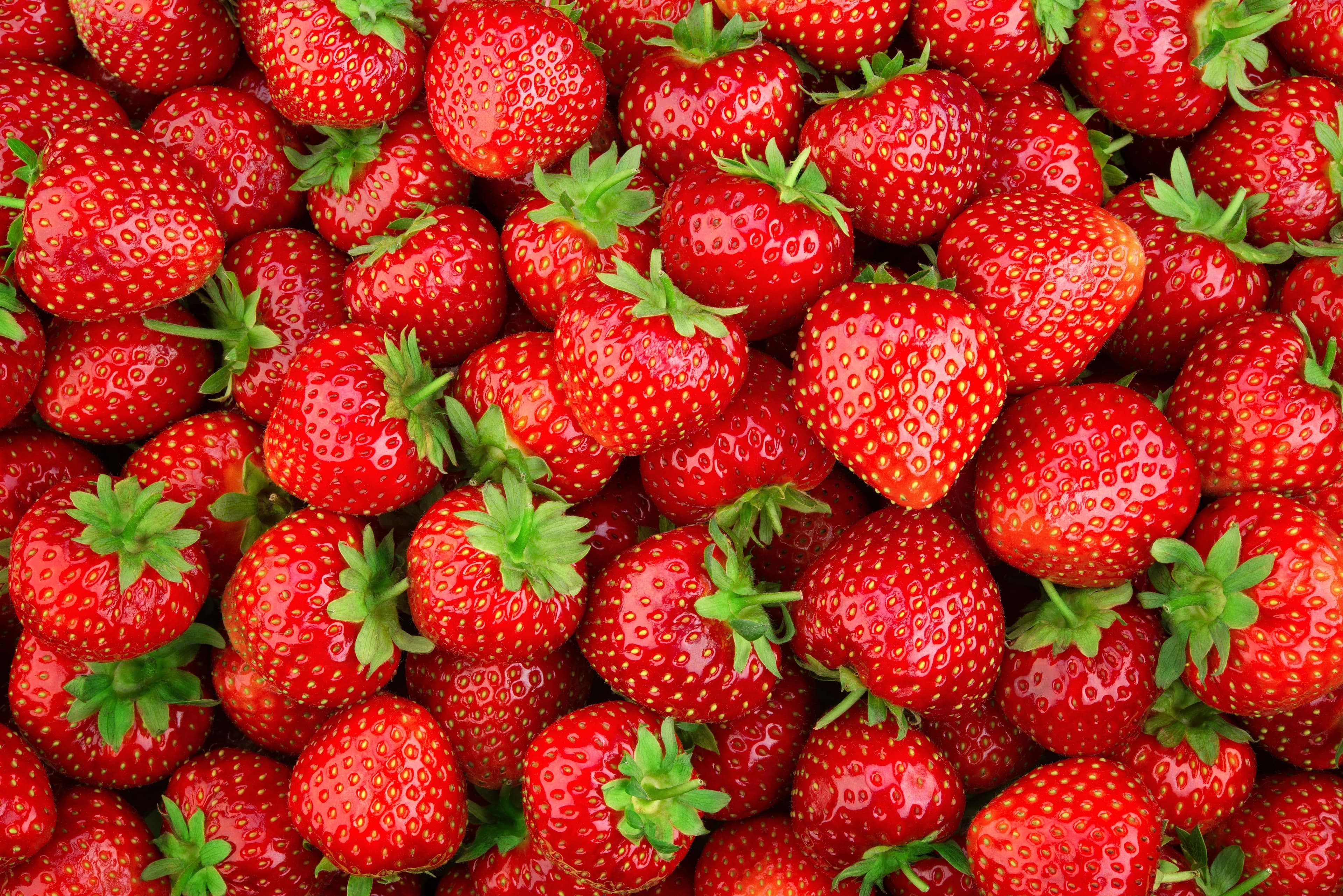 Fraises